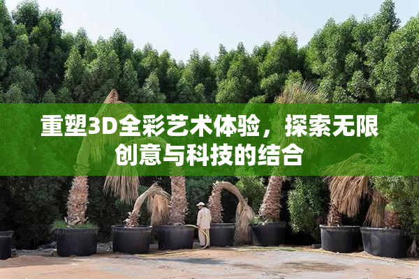重塑3D全彩艺术体验，探索无限创意与科技的结合