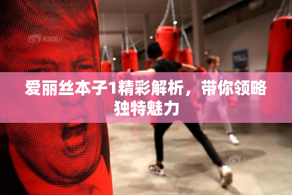 爱丽丝本子1精彩解析，带你领略独特魅力