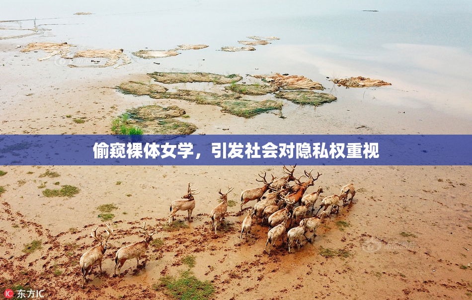偷窥裸体女学，引发社会对隐私权重视