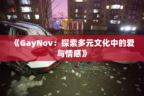 《GayNov：探索多元文化中的爱与情感》