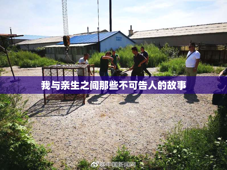 我与亲生之间那些不可告人的故事