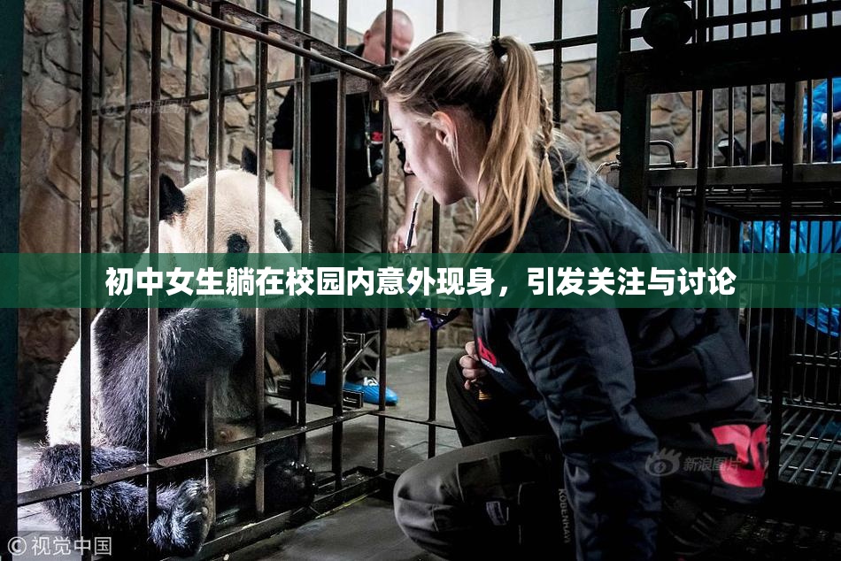 初中女生躺在校园内意外现身，引发关注与讨论