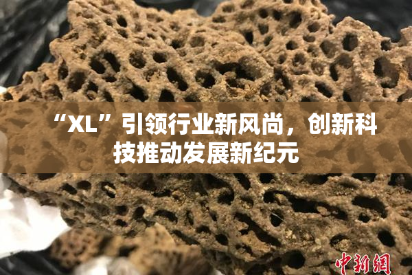 “XL”引领行业新风尚，创新科技推动发展新纪元