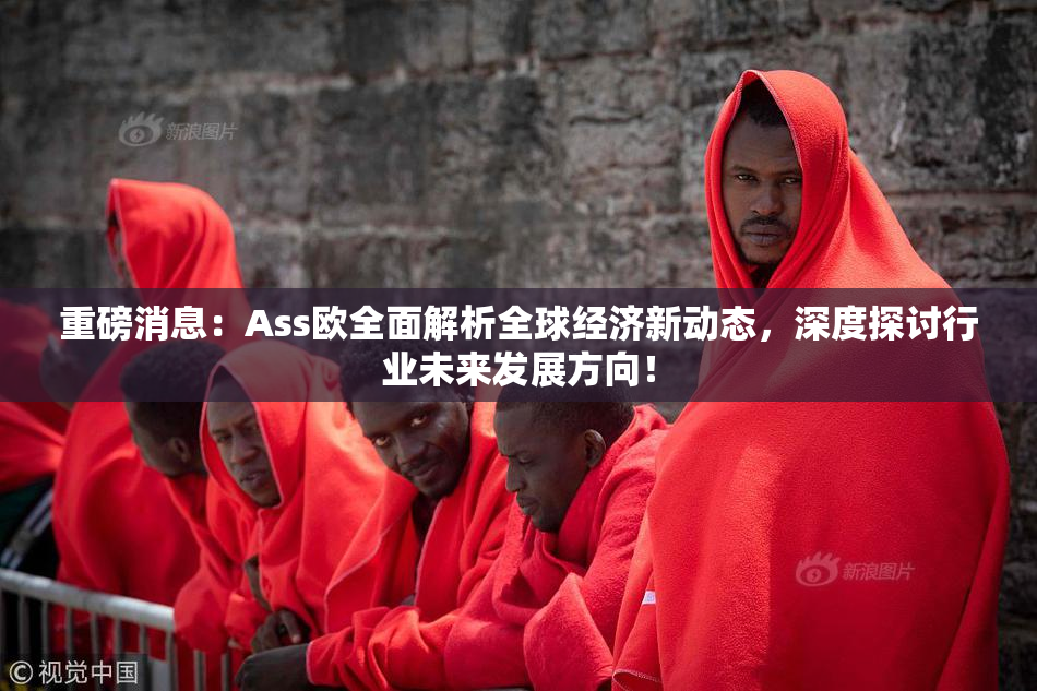 重磅消息：Ass欧全面解析全球经济新动态，深度探讨行业未来发展方向！