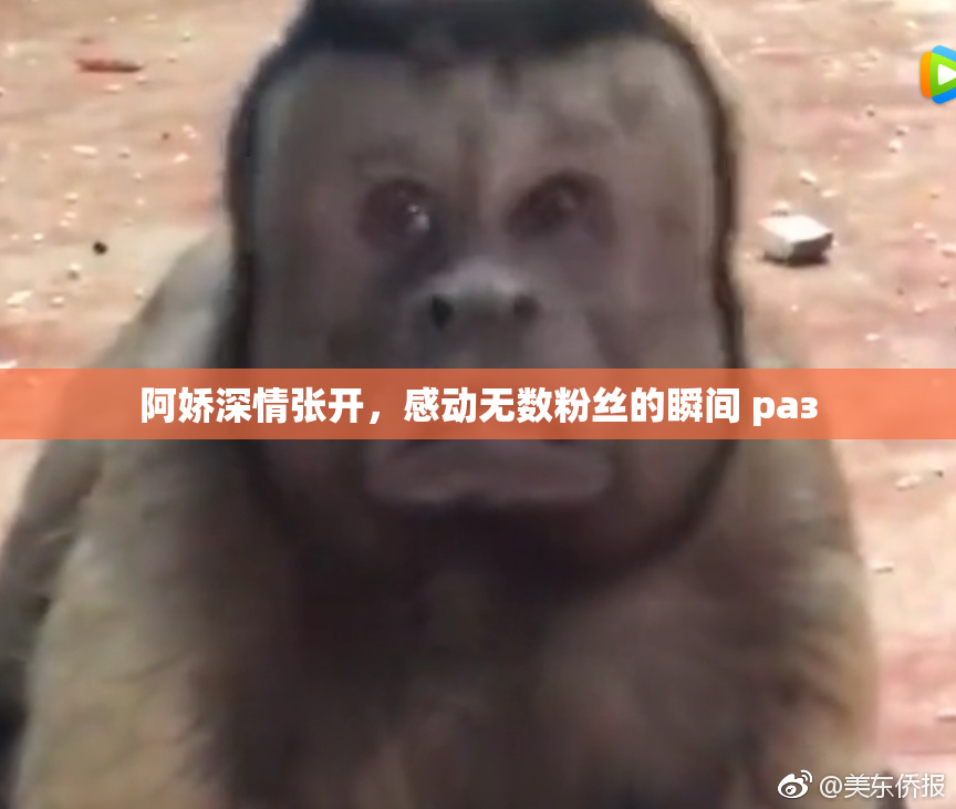 阿娇深情张开，感动无数粉丝的瞬间 раз