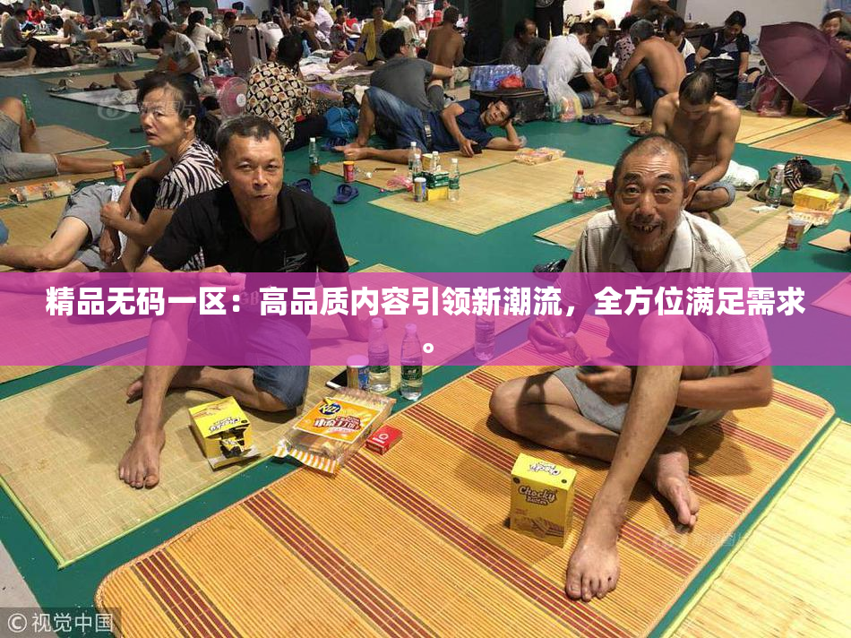 精品无码一区：高品质内容引领新潮流，全方位满足需求。