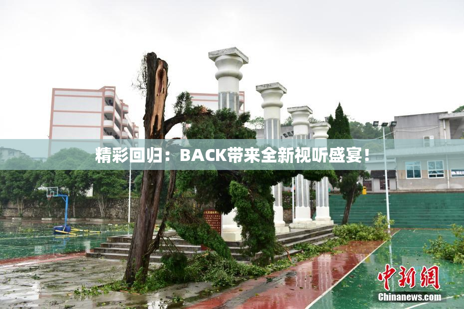 精彩回归：BACK带来全新视听盛宴！