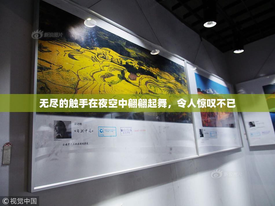 无尽的触手在夜空中翩翩起舞，令人惊叹不已