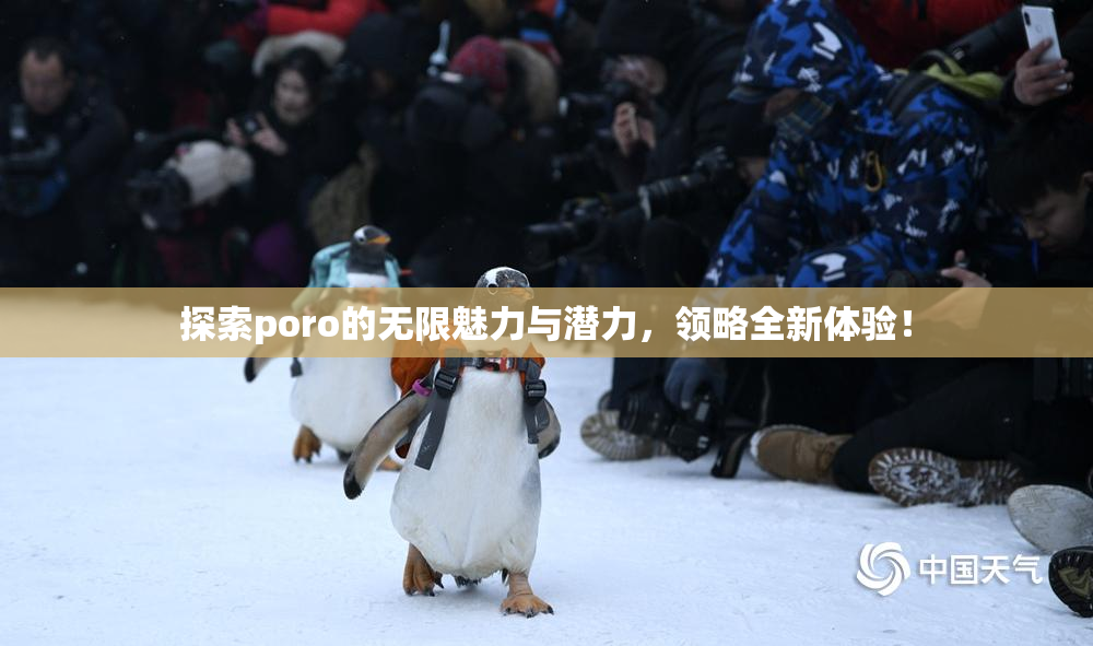 探索poro的无限魅力与潜力，领略全新体验！