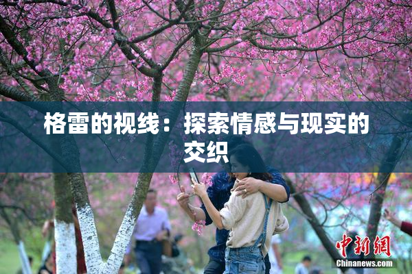格雷的视线：探索情感与现实的交织