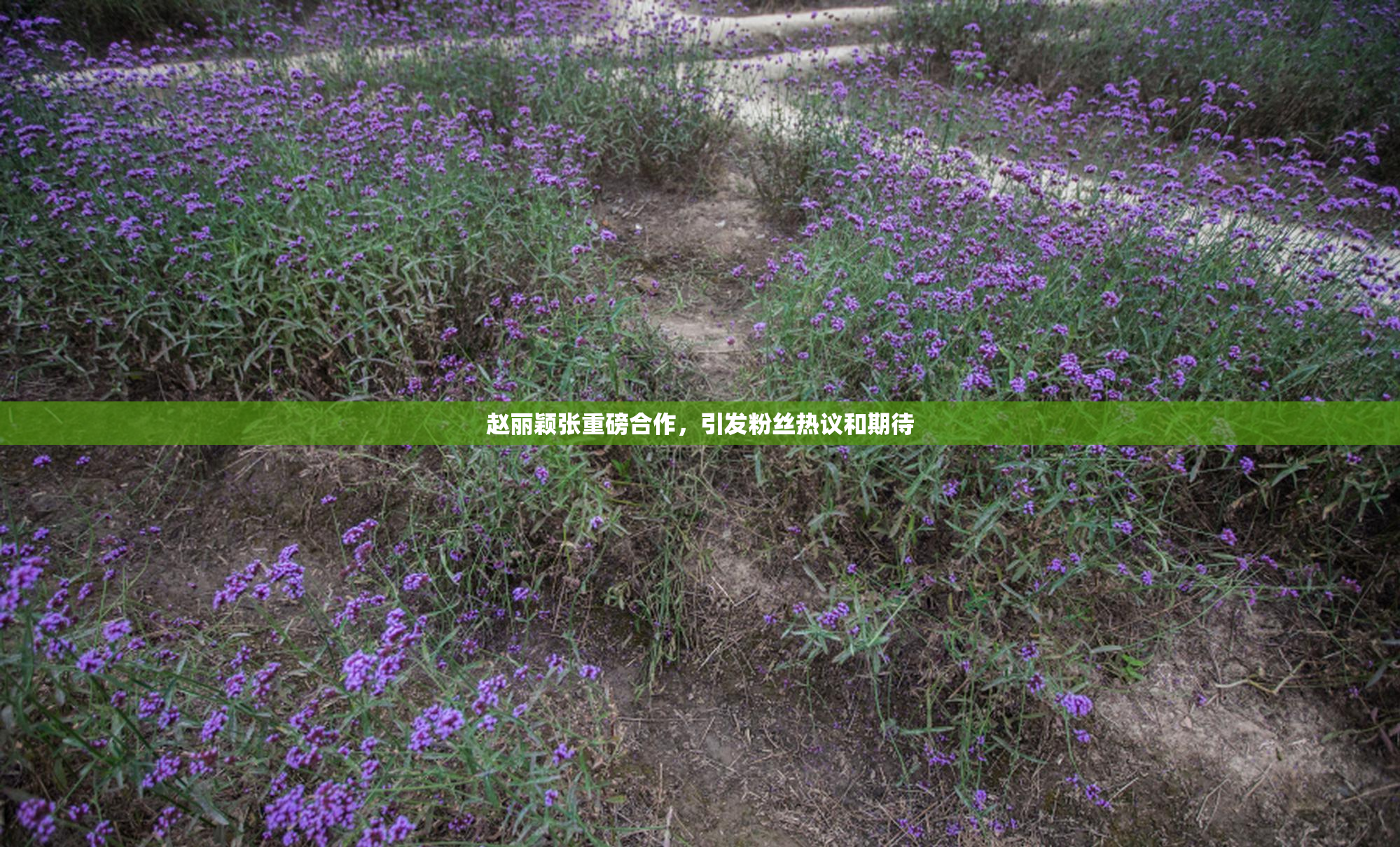 赵丽颖张重磅合作，引发粉丝热议和期待