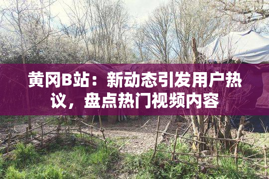 黄冈B站：新动态引发用户热议，盘点热门视频内容