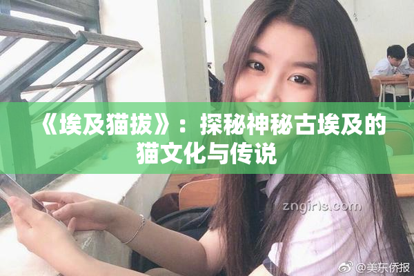《埃及猫拔》：探秘神秘古埃及的猫文化与传说