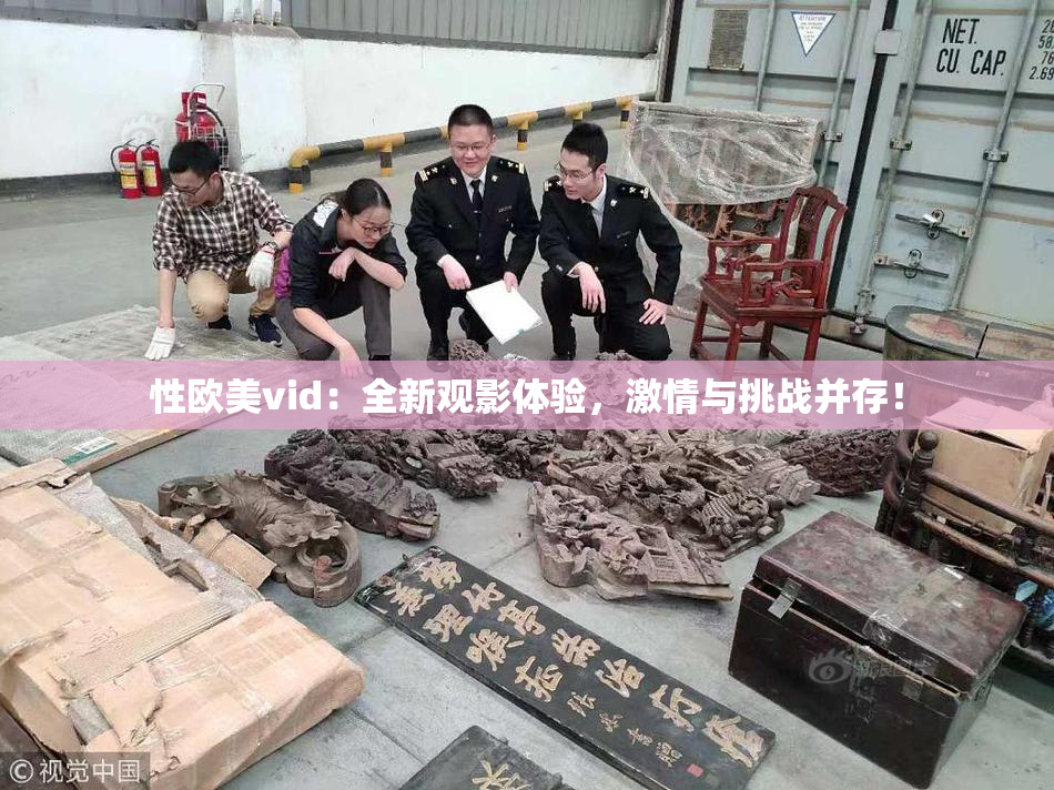 性欧美vid：全新观影体验，激情与挑战并存！