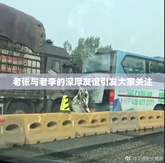老张与老李的深厚友谊引发大家关注