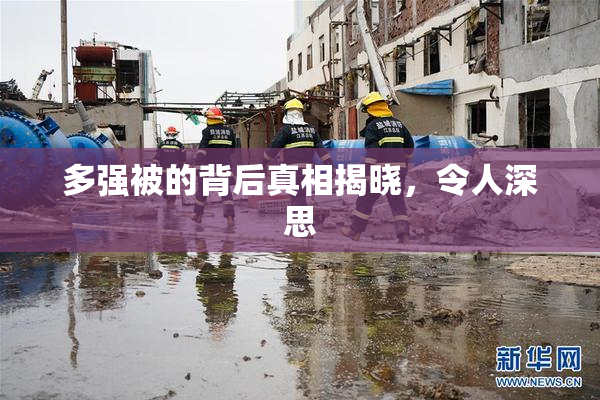 多强被的背后真相揭晓，令人深思
