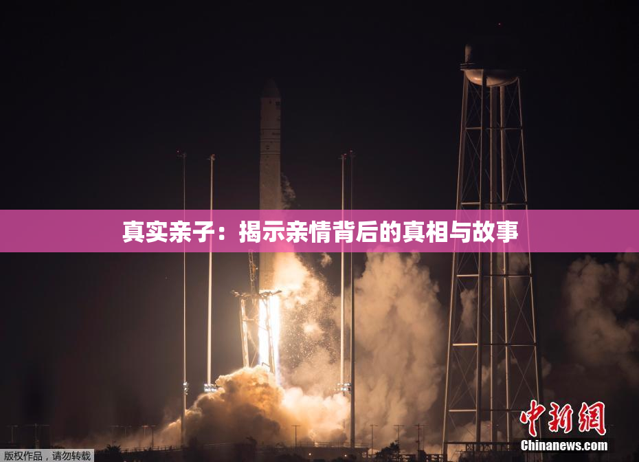 真实亲子：揭示亲情背后的真相与故事