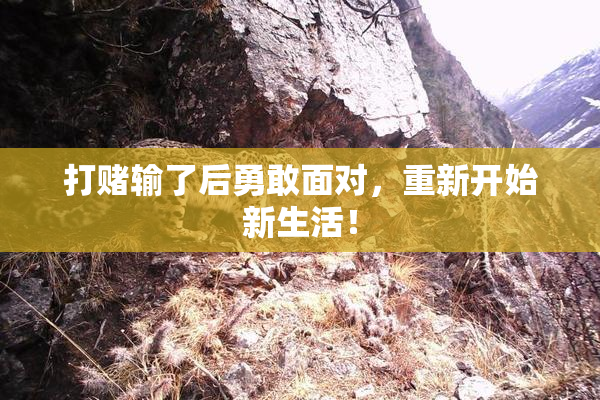 打赌输了后勇敢面对，重新开始新生活！