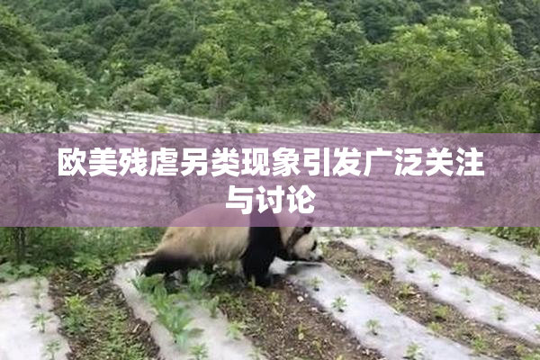 欧美残虐另类现象引发广泛关注与讨论