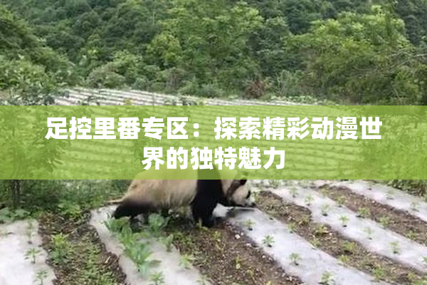 足控里番专区：探索精彩动漫世界的独特魅力