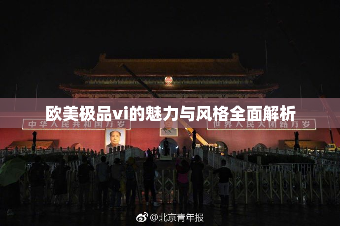 欧美极品vi的魅力与风格全面解析