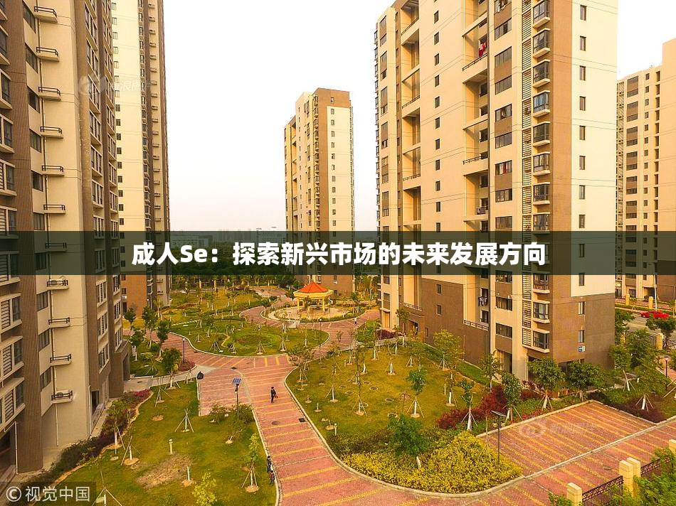 成人Se：探索新兴市场的未来发展方向