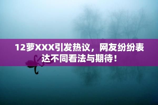 12萝XXX引发热议，网友纷纷表达不同看法与期待！