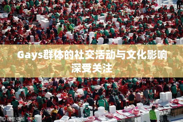 Gays群体的社交活动与文化影响深受关注