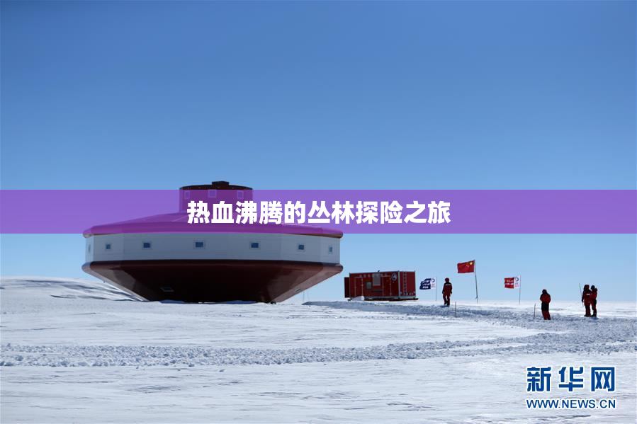热血沸腾的丛林探险之旅