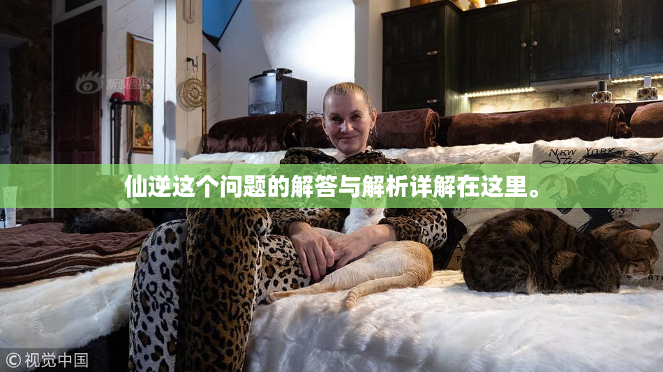 仙逆这个问题的解答与解析详解在这里。