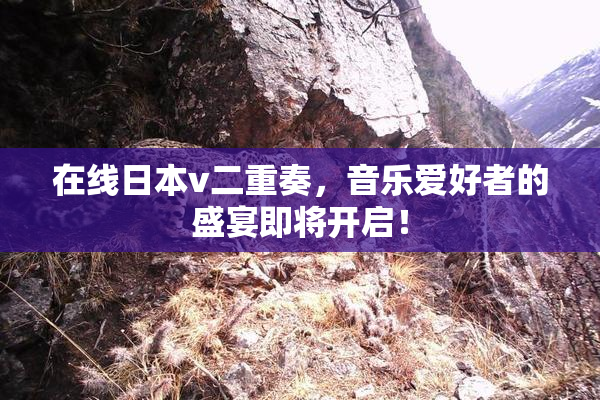 在线日本v二重奏，音乐爱好者的盛宴即将开启！