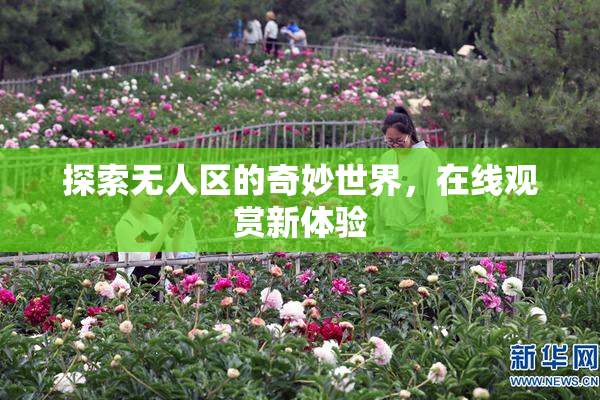 探索无人区的奇妙世界，在线观赏新体验