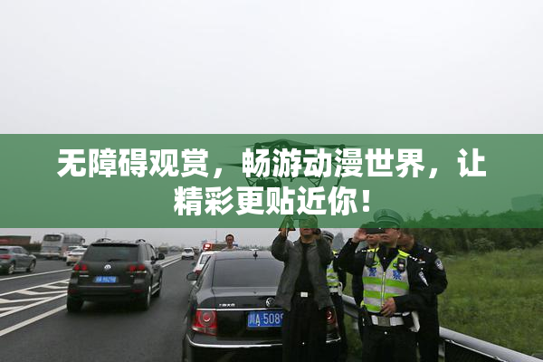无障碍观赏，畅游动漫世界，让精彩更贴近你！