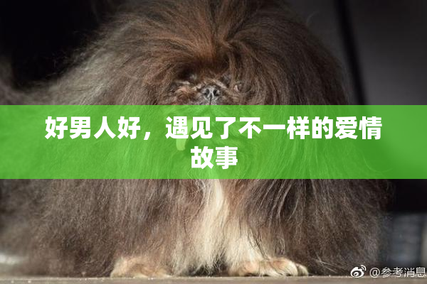 好男人好，遇见了不一样的爱情故事