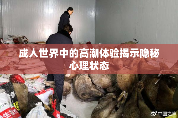 成人世界中的高潮体验揭示隐秘心理状态