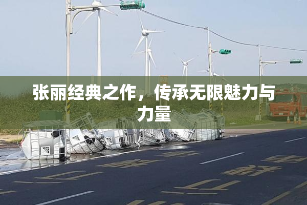 张丽经典之作，传承无限魅力与力量