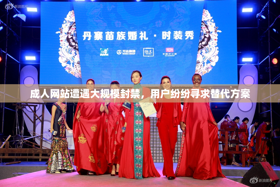 成人网站遭遇大规模封禁，用户纷纷寻求替代方案