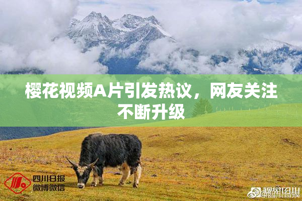 樱花视频A片引发热议，网友关注不断升级