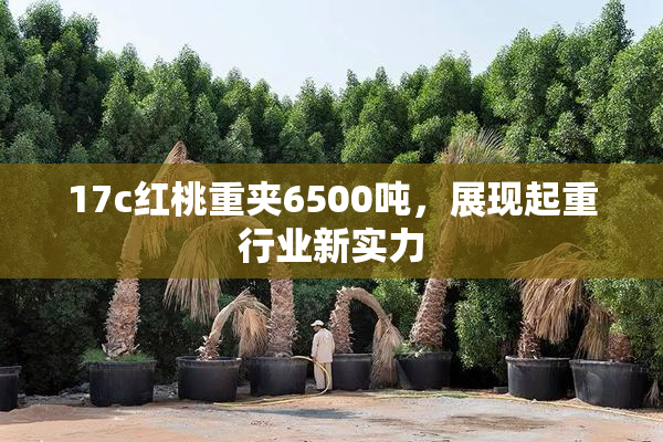 17c红桃重夹6500吨，展现起重行业新实力