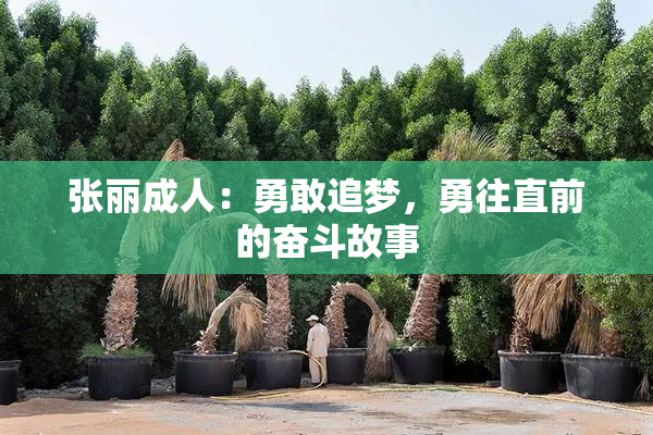 张丽成人：勇敢追梦，勇往直前的奋斗故事