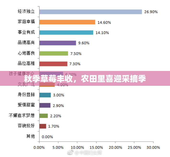 秋季草莓丰收，农田里喜迎采摘季