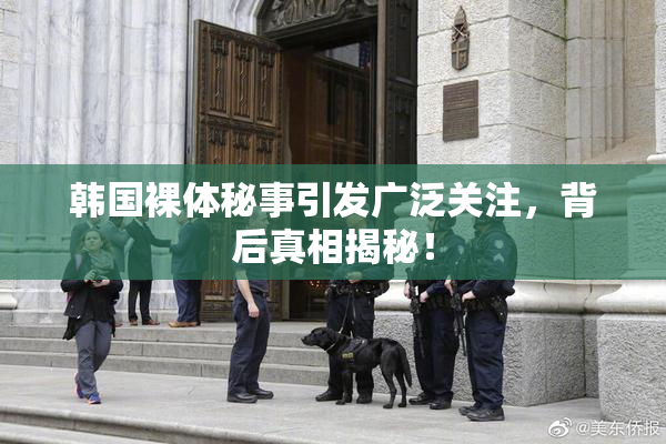 韩国裸体秘事引发广泛关注，背后真相揭秘！