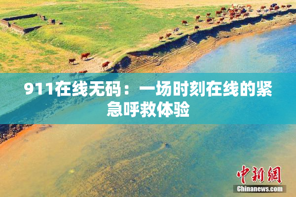 911在线无码：一场时刻在线的紧急呼救体验