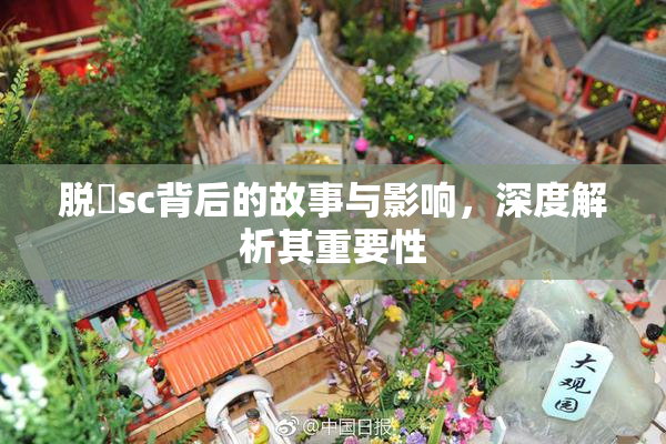 脱糞sc背后的故事与影响，深度解析其重要性