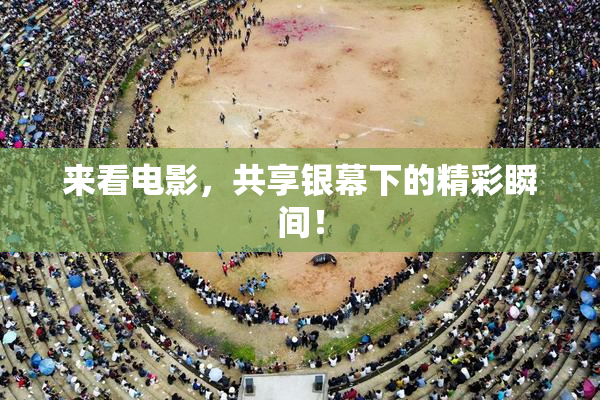 来看电影，共享银幕下的精彩瞬间！