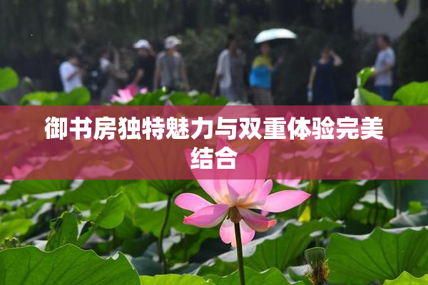 御书房独特魅力与双重体验完美结合