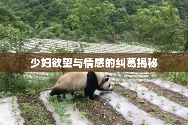 少妇欲望与情感的纠葛揭秘