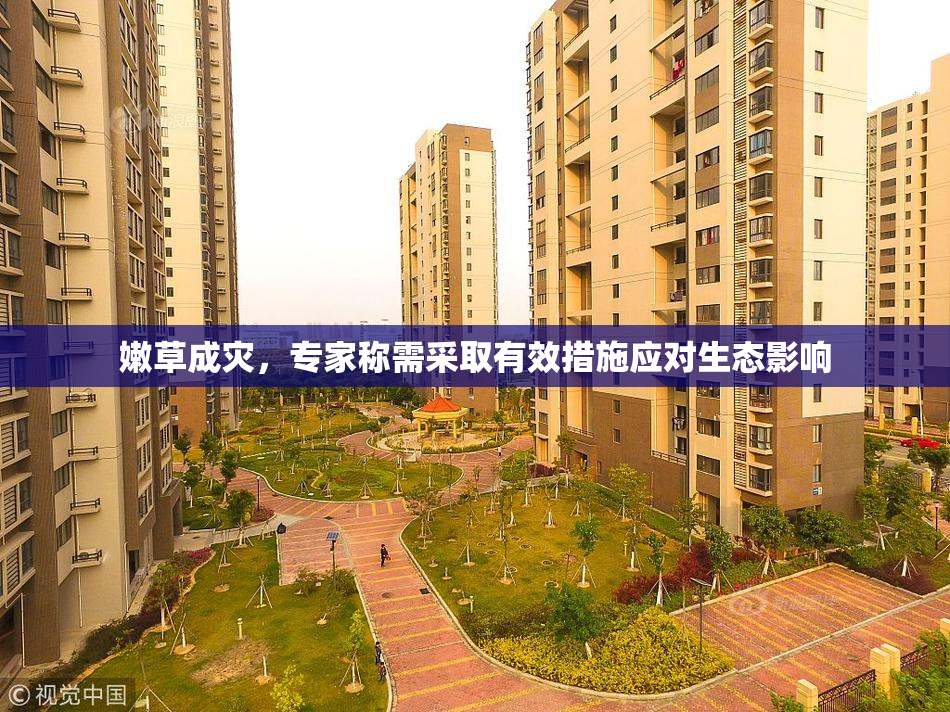 嫩草成灾，专家称需采取有效措施应对生态影响
