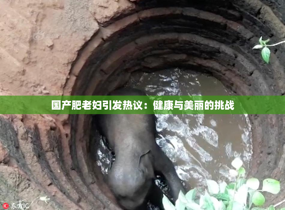 国产肥老妇引发热议：健康与美丽的挑战