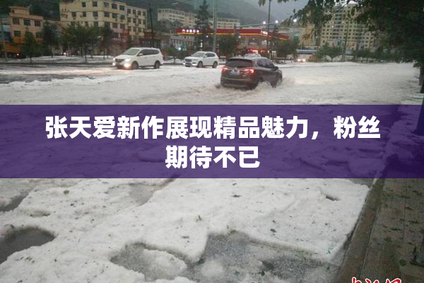 张天爱新作展现精品魅力，粉丝期待不已